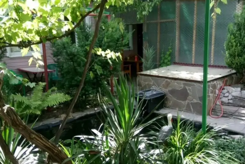 gallery_photo
