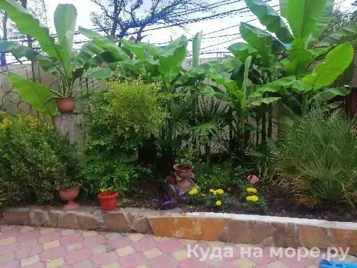 gallery_photo