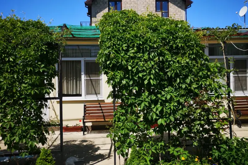 Гостинный дом «Молдованочка», курорт Благовещенская
