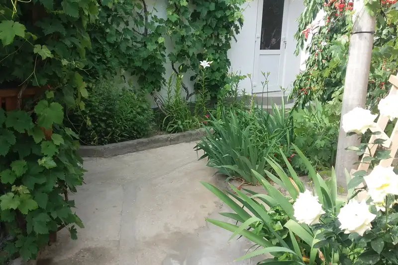 gallery_photo
