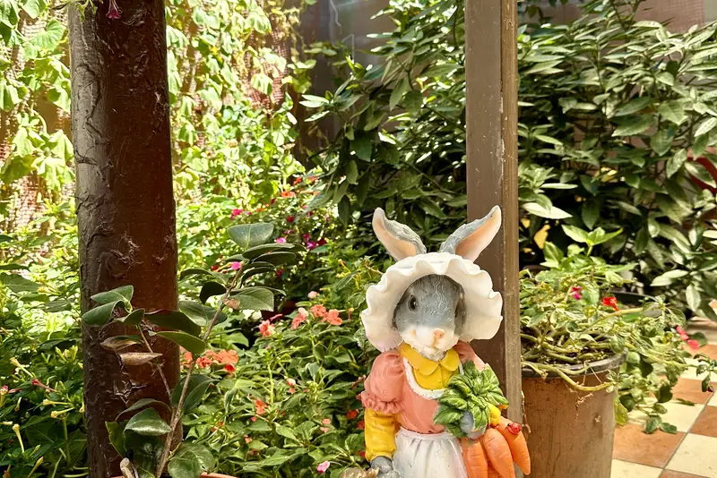 gallery_photo