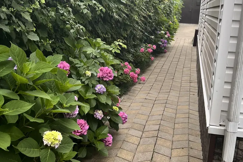 gallery_photo