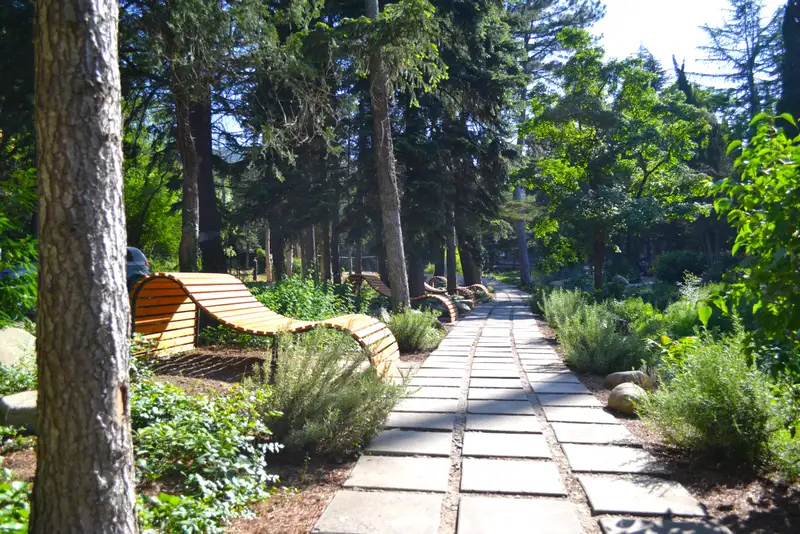 Санаторий «Лес», курорт Алушта
