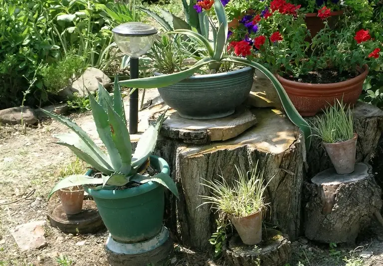 gallery_photo