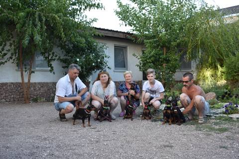 ZooОтель «В Крым c питомцем» пгт. Заозерное, ул. Юбилейная