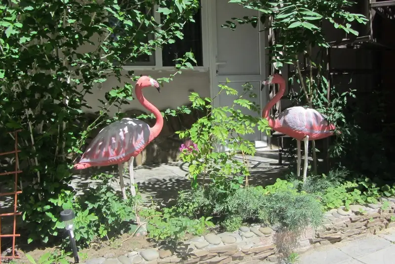 Дом розовый фламинго