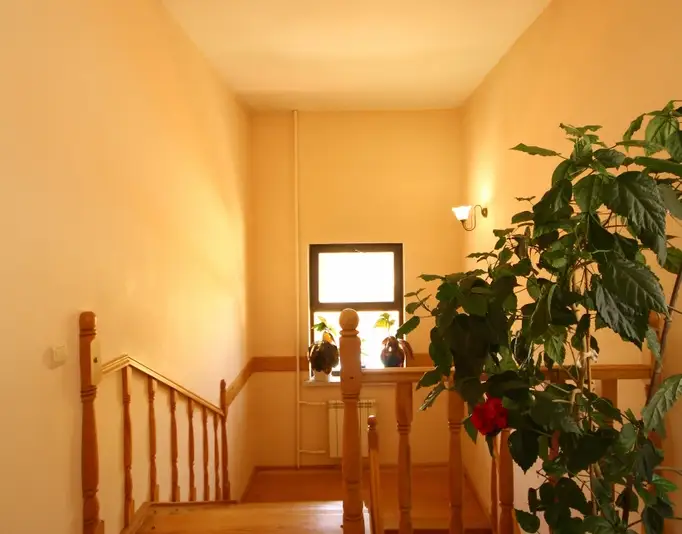 gallery_photo