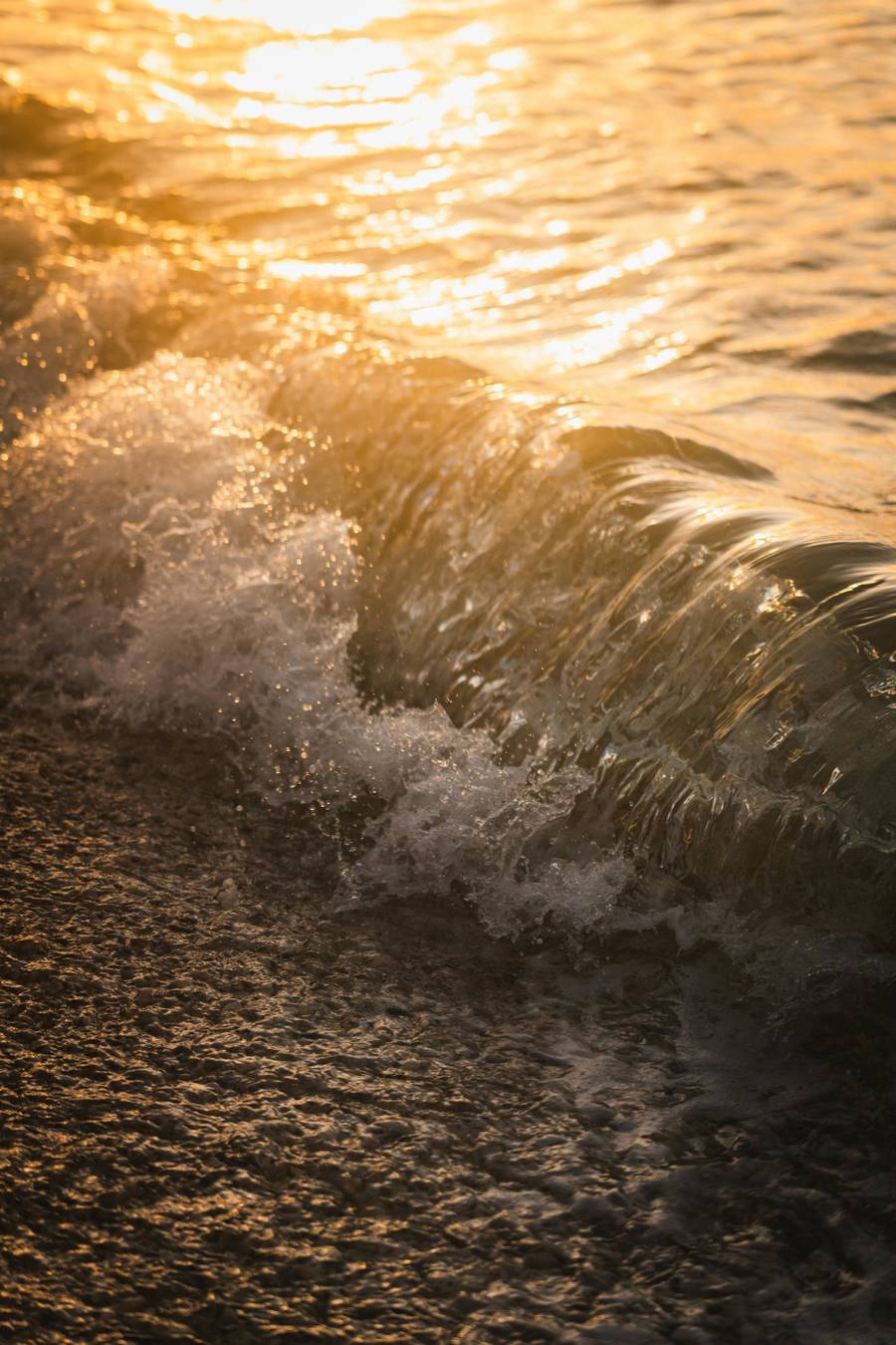 Приморский привлекает туристов с детьми в первую очередь пляжами. Источник:&nbsp;pexels.com