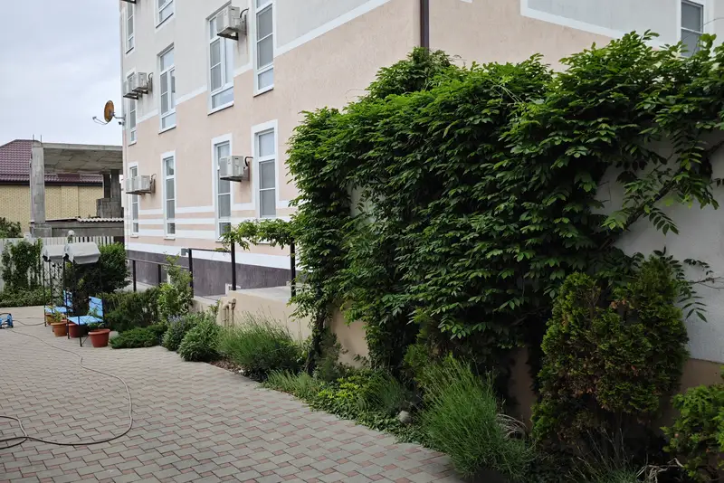 gallery_photo