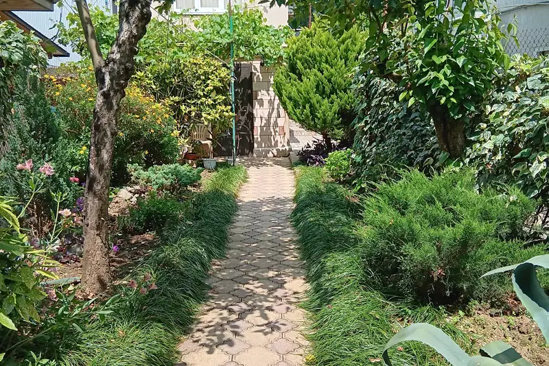gallery_photo