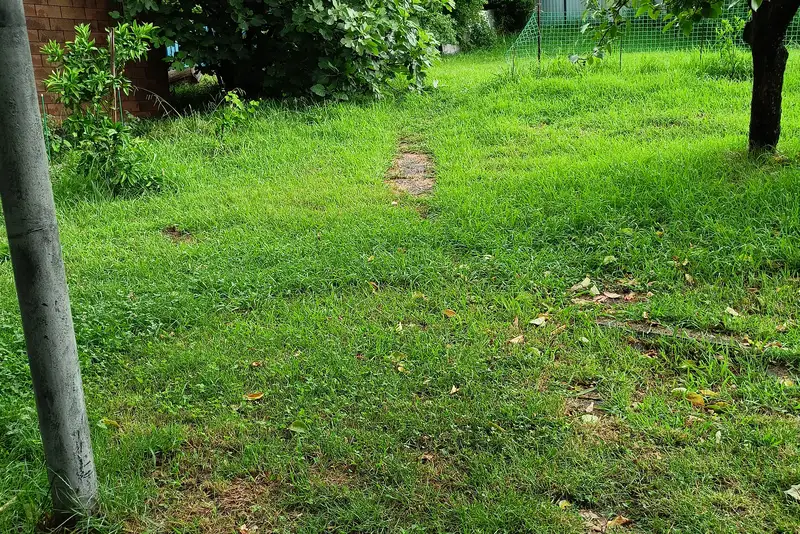 gallery_photo