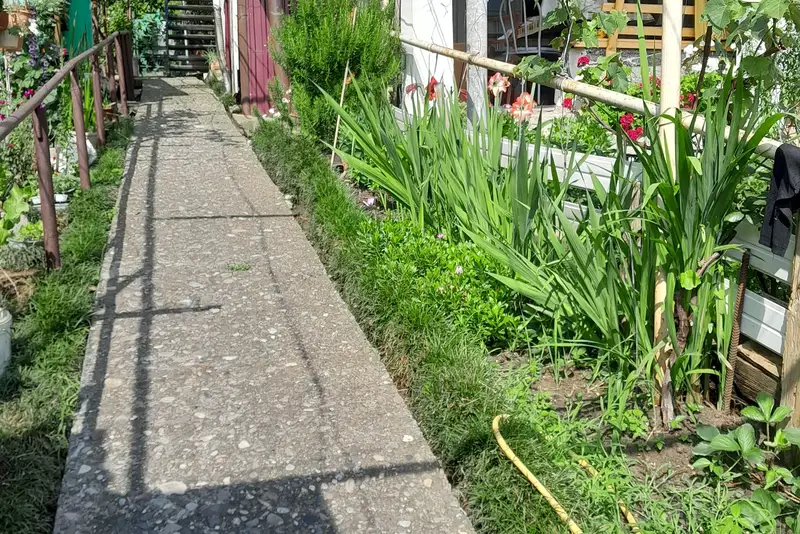 gallery_photo