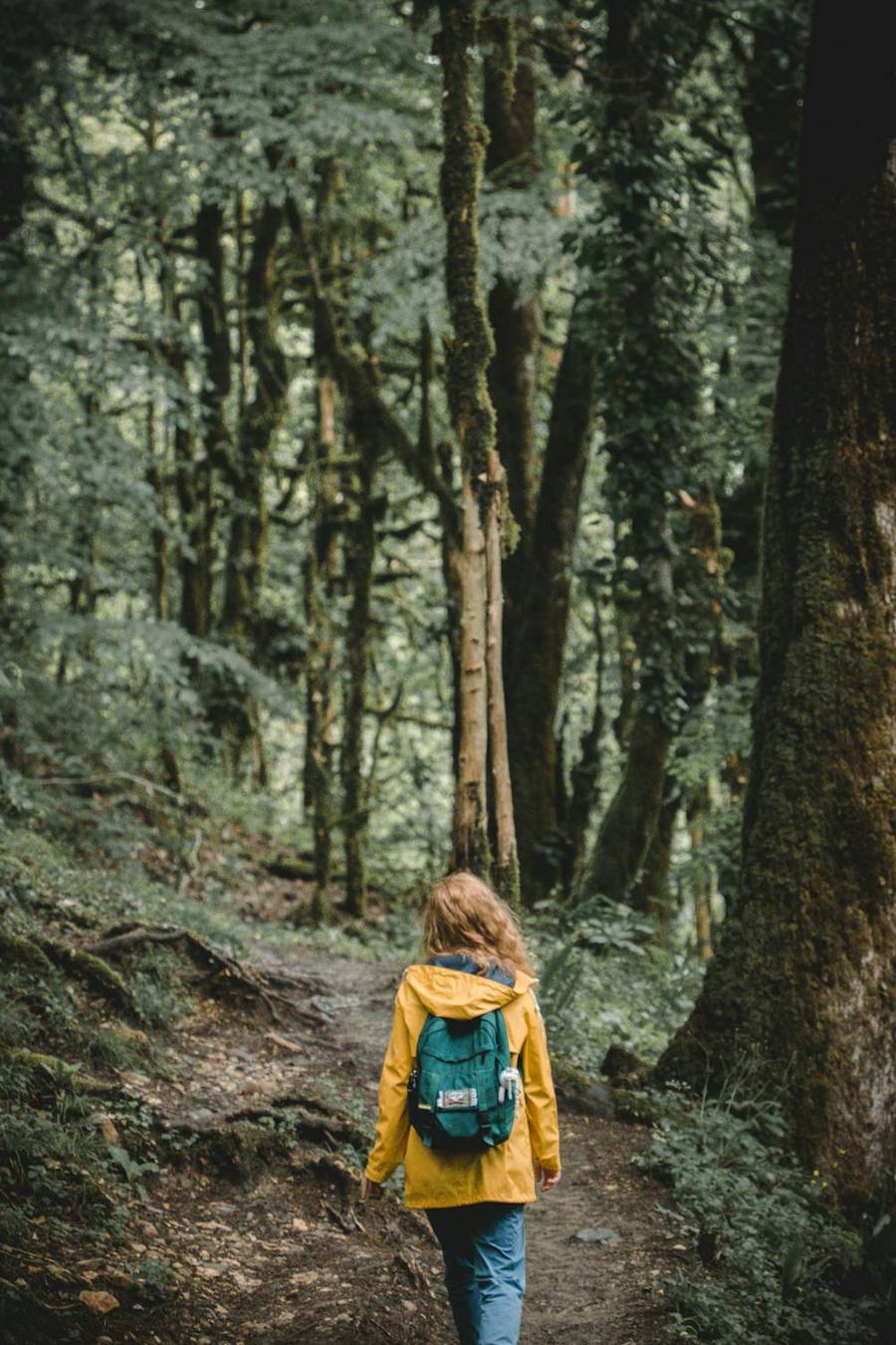 По тропам Сочинского национального парка. Источник:&nbsp;pexels.com