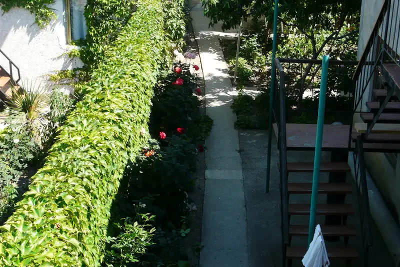 gallery_photo