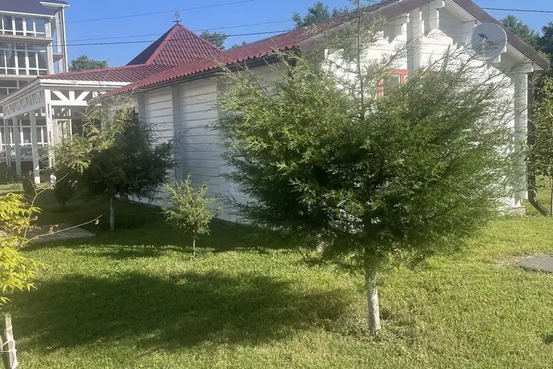 gallery_photo