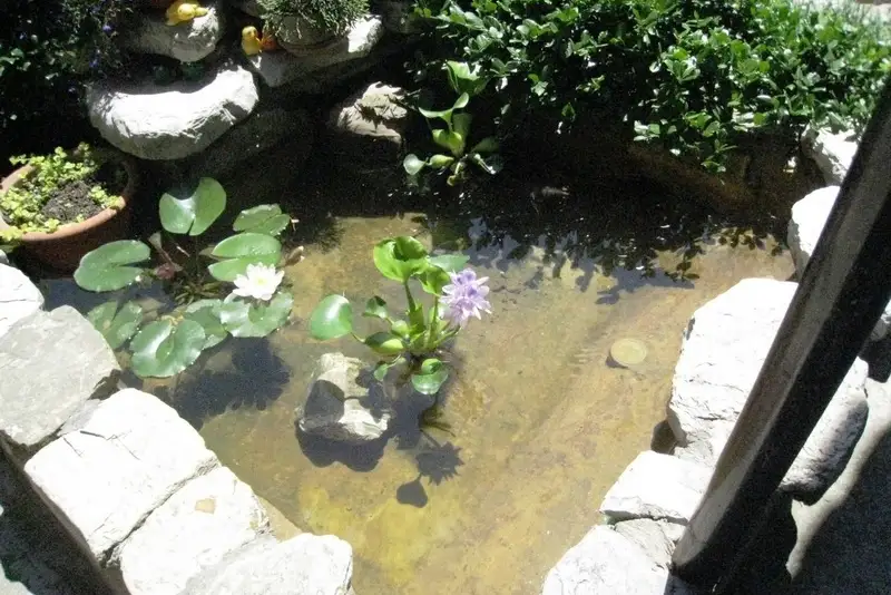 gallery_photo