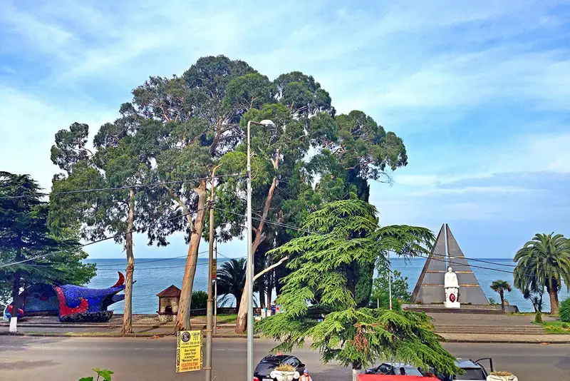 gallery_photo