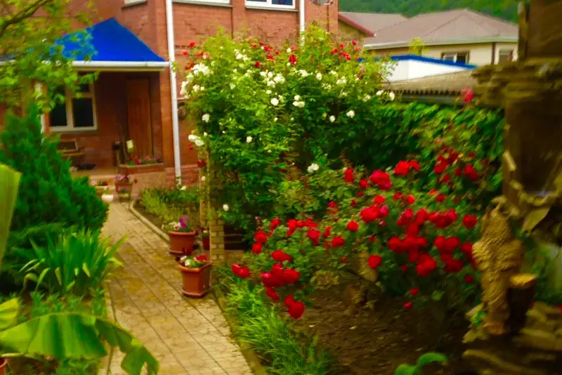 Гостевой дом «Черноморье» ул. Черноморская, д. 15