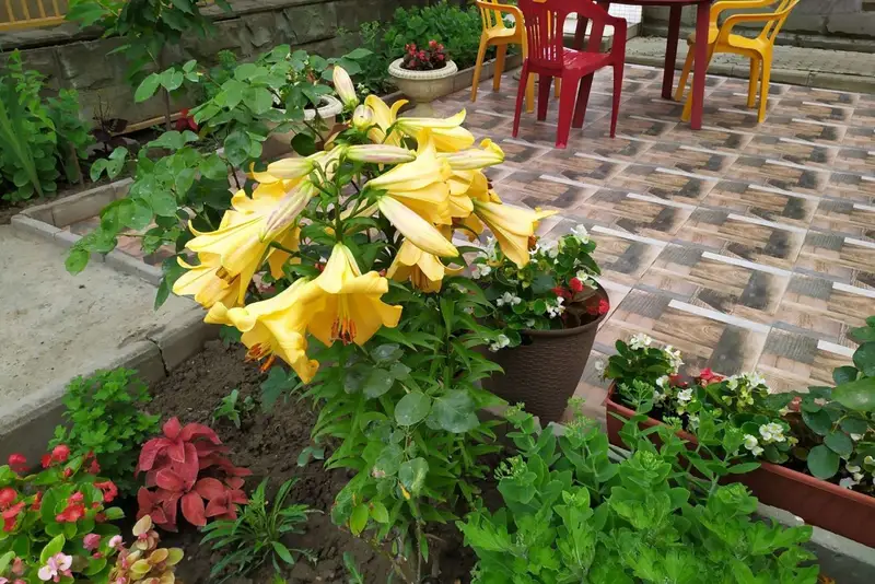 gallery_photo