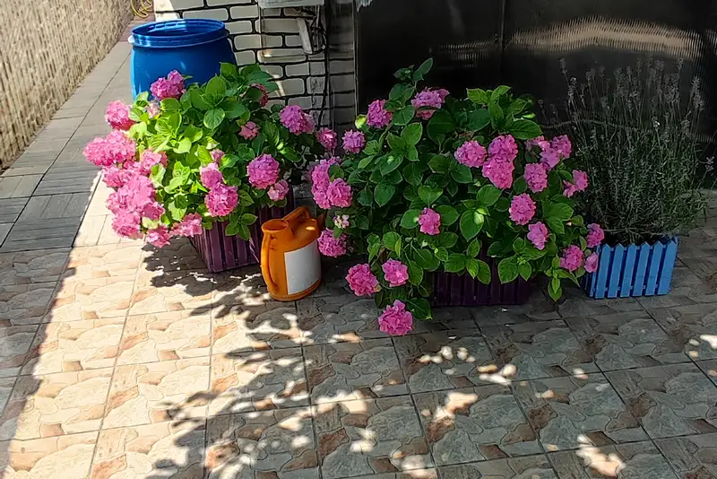 gallery_photo