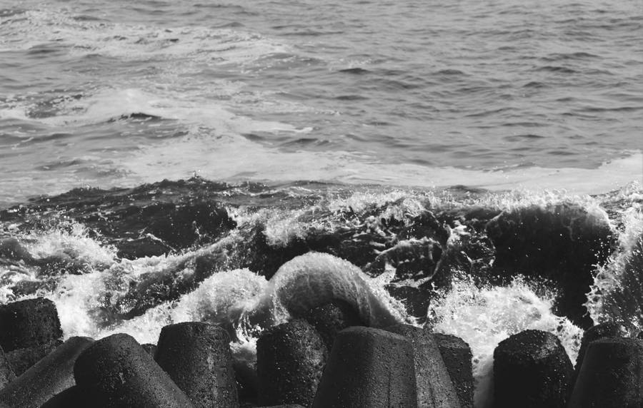 Морской порт сыграл важнейшую роль в обороне Туапсе. Источник:&nbsp;unsplash.com