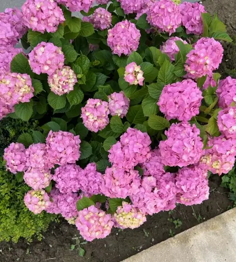 gallery_photo