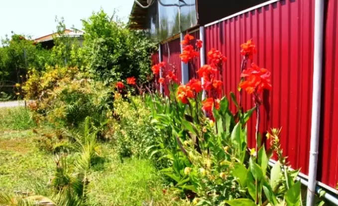 gallery_photo