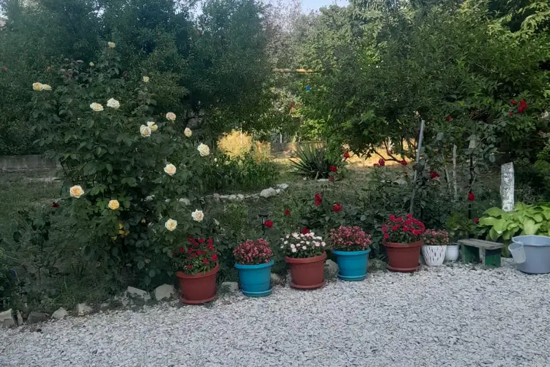 gallery_photo
