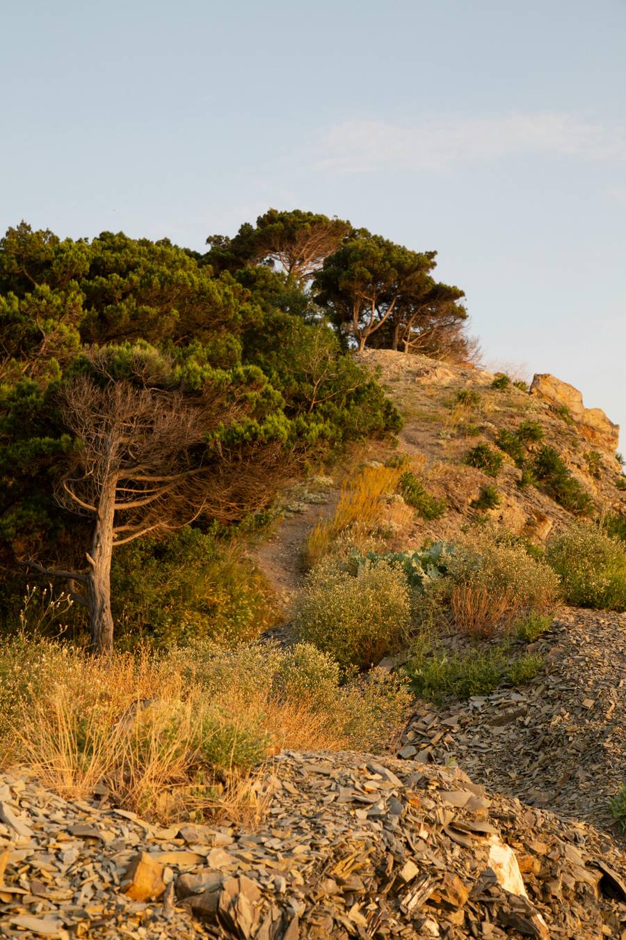 Большой Утриш. Источник: pexels.com