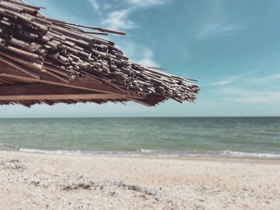 Нежная красота песчаного пляжа. Источник:&nbsp;unsplash.com