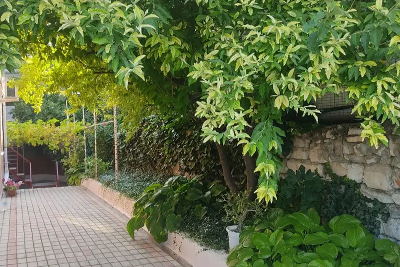 gallery_photo