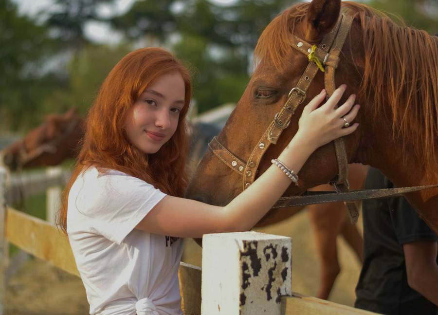 А почему бы не познакомиться в Геленджике с очаровательными лошадками, если есть такая возможность?&nbsp;Источник: unsplash.com