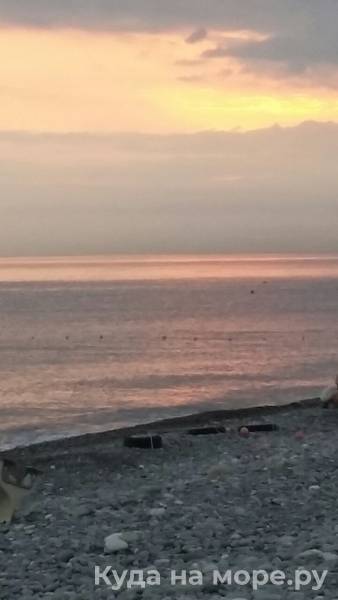 Волконка эллинги у моря фото