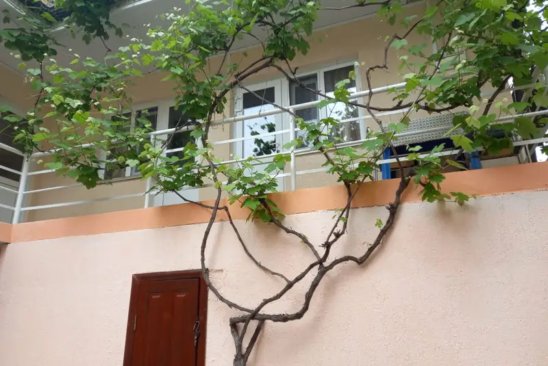 gallery_photo