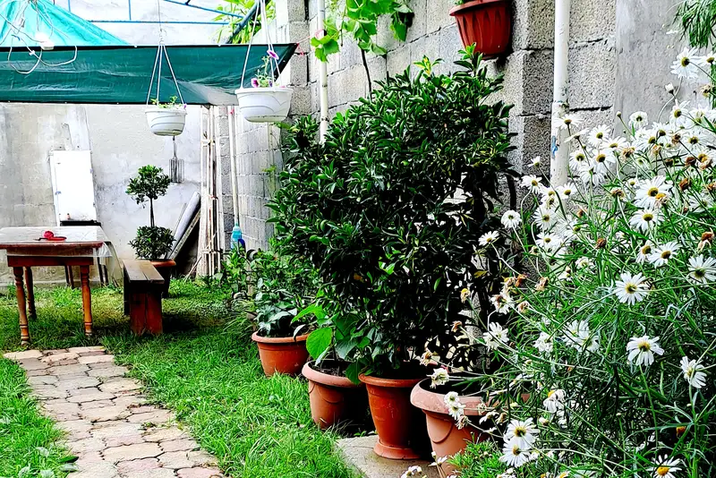 gallery_photo