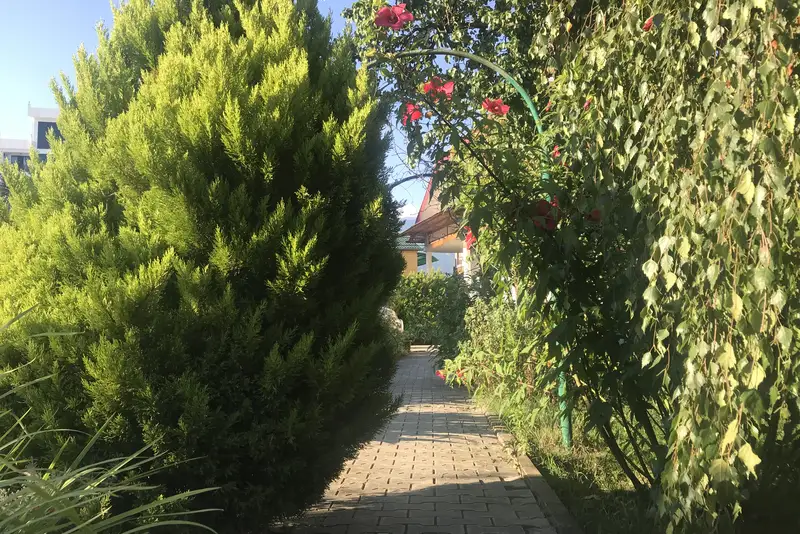 gallery_photo