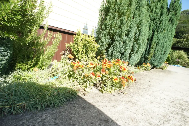 gallery_photo