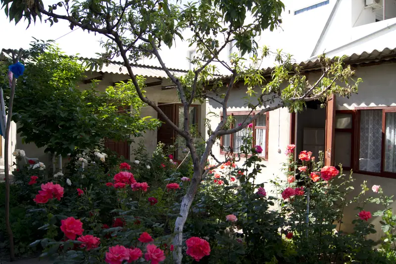gallery_photo