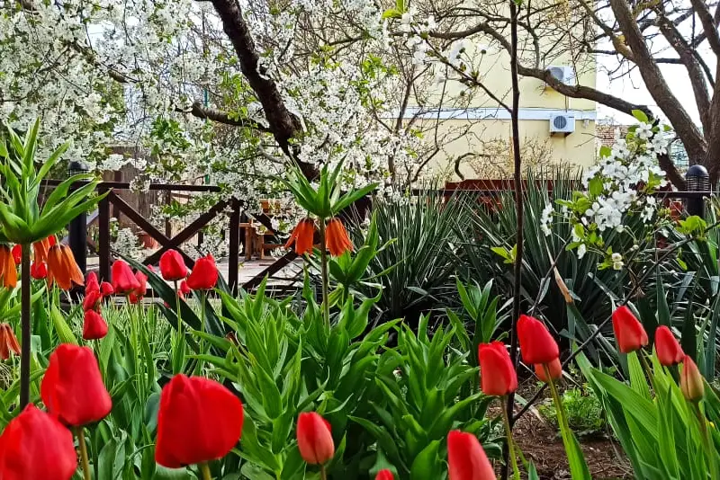 gallery_photo
