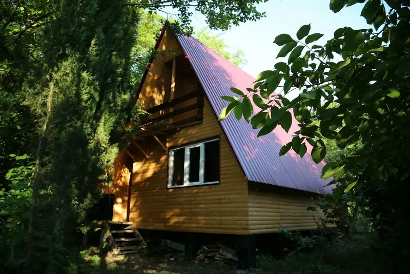 gallery_photo