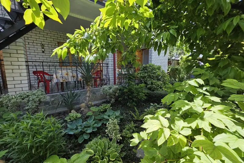 gallery_photo