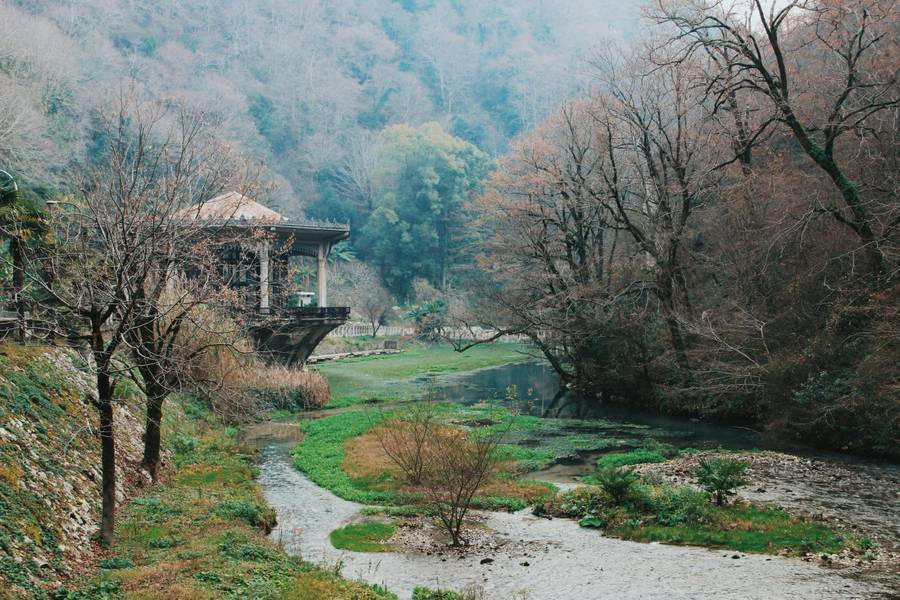 Абхазия в межсезонье продолжается оставаться зеленой. Источник: Unsplash.com
