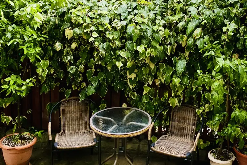 gallery_photo