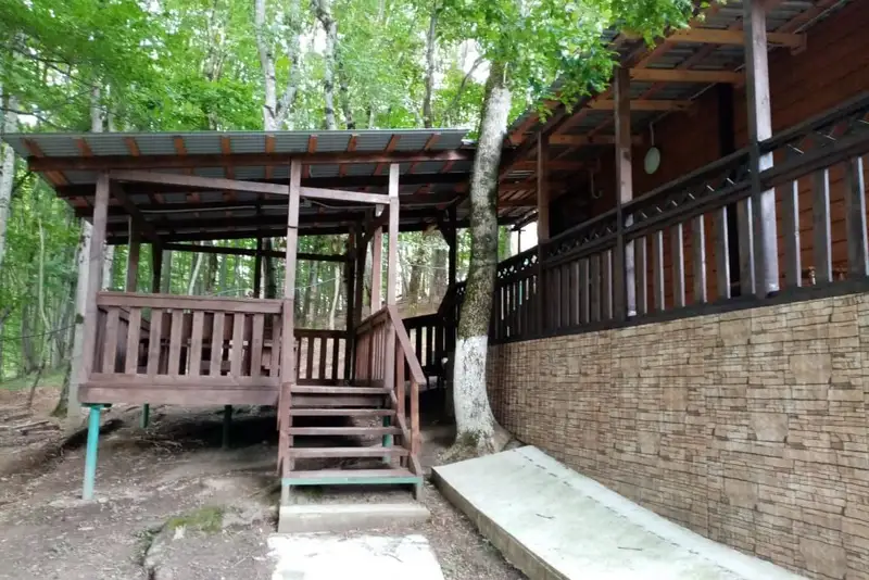 gallery_photo