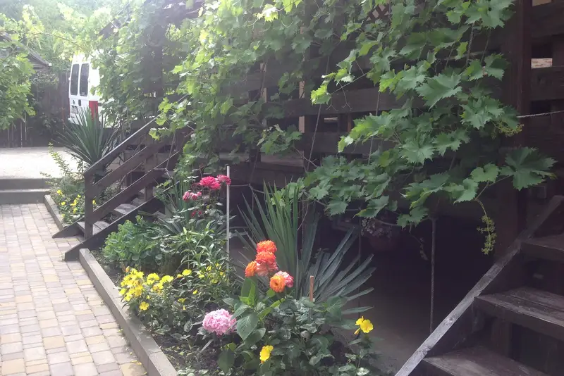 gallery_photo
