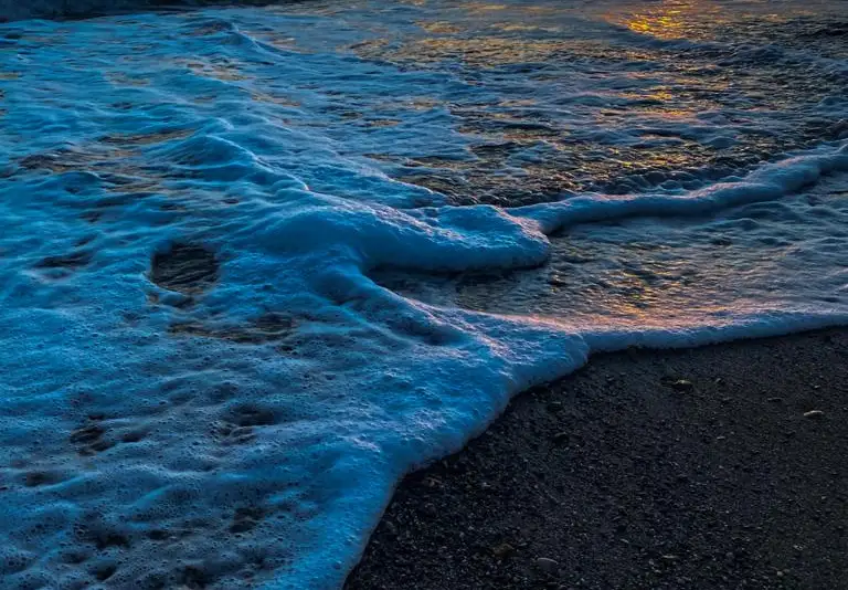 gallery_photo
