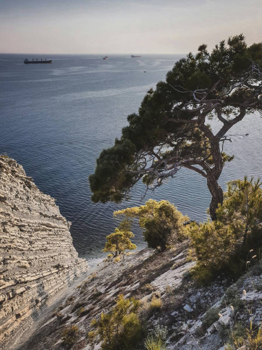 Летний пейзаж в окрестностях Дивноморского.&nbsp;Источник: pexels.com