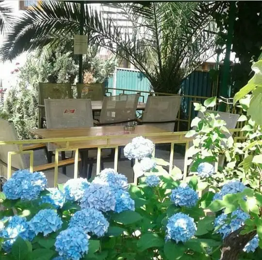 gallery_photo
