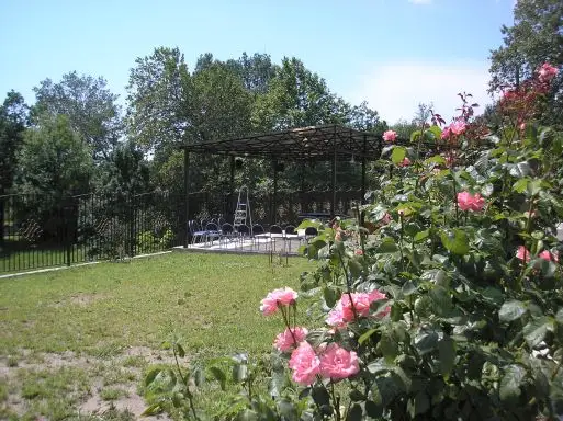 gallery_photo
