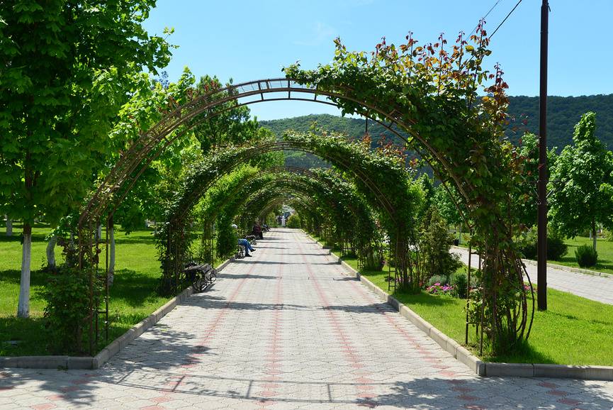 Арки из роз в парке Абрау-Дюрсо.&nbsp;© Игорь Архипов / Фотобанк Лори